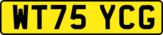 WT75YCG