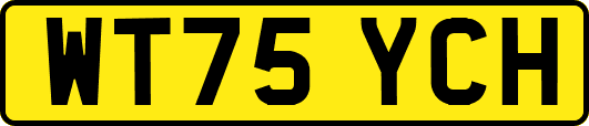 WT75YCH
