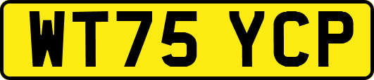 WT75YCP
