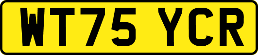 WT75YCR