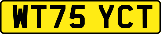 WT75YCT