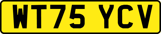 WT75YCV