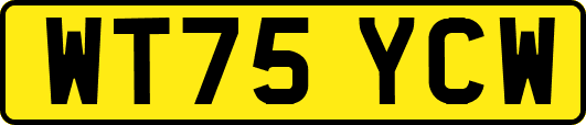 WT75YCW