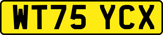 WT75YCX