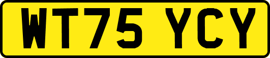 WT75YCY