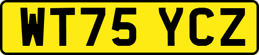 WT75YCZ