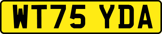 WT75YDA