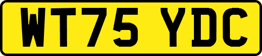 WT75YDC