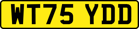 WT75YDD