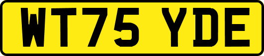 WT75YDE
