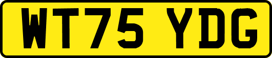 WT75YDG