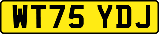 WT75YDJ