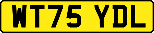 WT75YDL