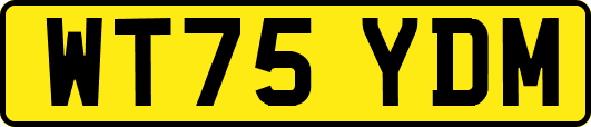 WT75YDM