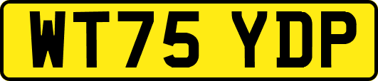 WT75YDP