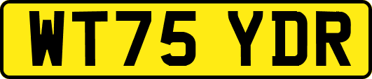 WT75YDR
