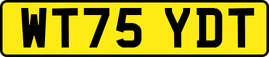WT75YDT