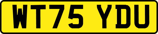 WT75YDU