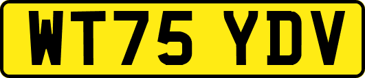 WT75YDV