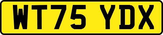 WT75YDX