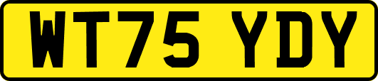 WT75YDY