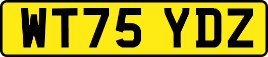 WT75YDZ