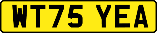 WT75YEA