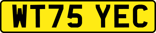 WT75YEC