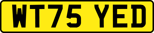 WT75YED