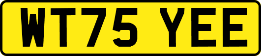 WT75YEE