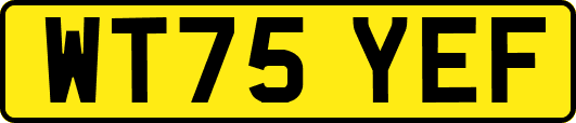 WT75YEF
