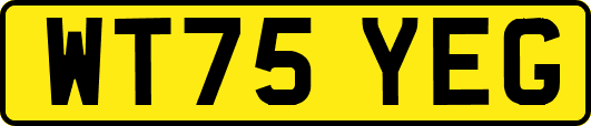 WT75YEG