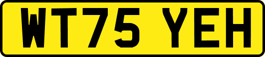 WT75YEH
