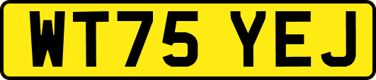 WT75YEJ