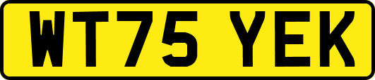 WT75YEK