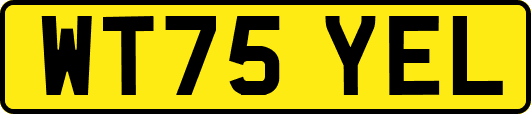WT75YEL