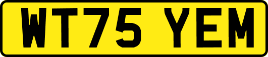 WT75YEM