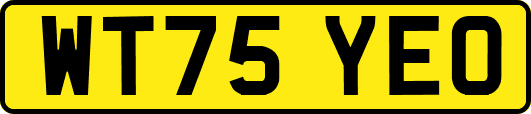 WT75YEO