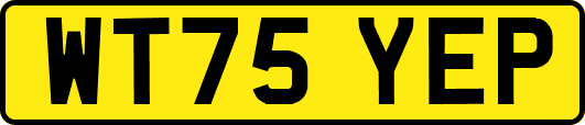 WT75YEP