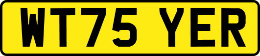 WT75YER