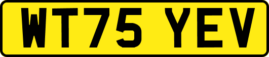 WT75YEV