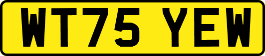 WT75YEW