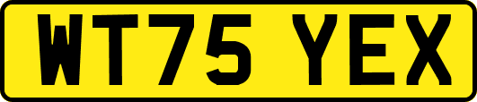 WT75YEX