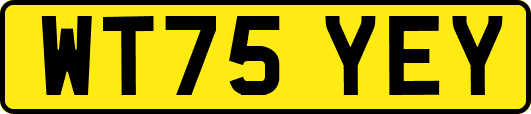 WT75YEY