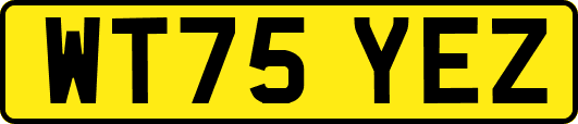 WT75YEZ