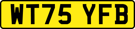 WT75YFB
