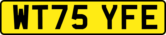 WT75YFE