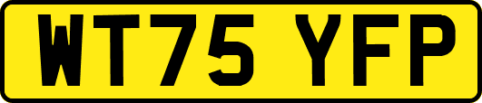 WT75YFP