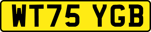 WT75YGB