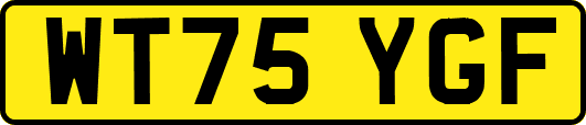 WT75YGF